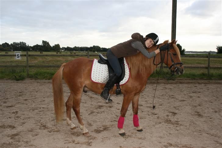 Anden særlig race  Fighter *SOLGT* - September 2007 :) billede 13