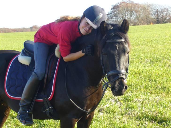 New Forest Elmholts Favorit RIP :( - Han er min favorit :D taget af: søster billede 19