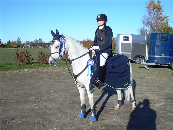 Anden særlig race David (tidl. pony) - spring stævne MBRK blev nr 2 i lc og lb. og  blev nr 2 i klbmesterskab  billede 5