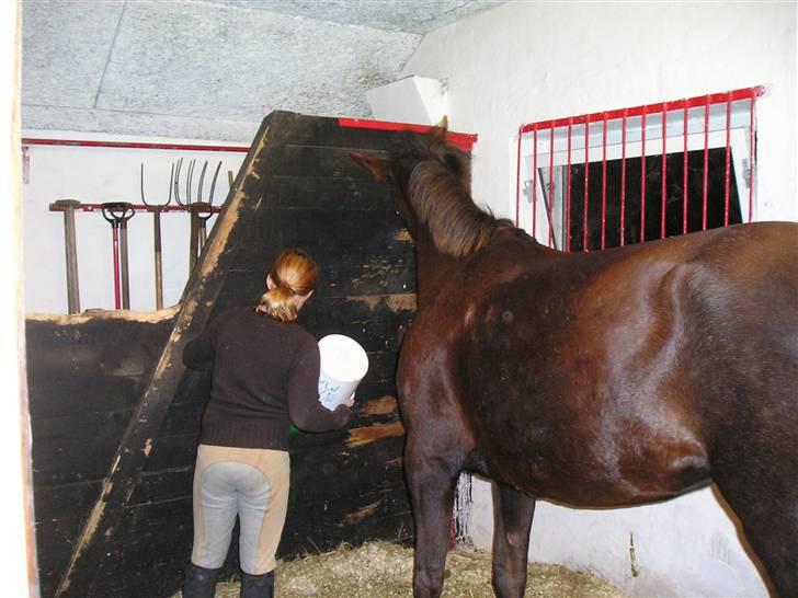 Traver BakkegårdensMoonlight - Vi skulle lige hygge os billede 7