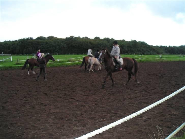 Traver BakkegårdensMoonlight - Første gang jeg var til dressur undervisning På Moonlight billede 8