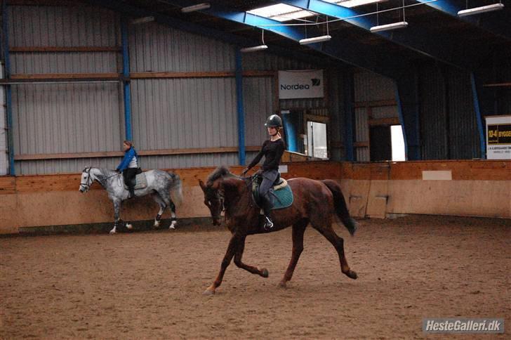 Dansk Varmblod Labiony - Dressur med min elskling xx <3 billede 6