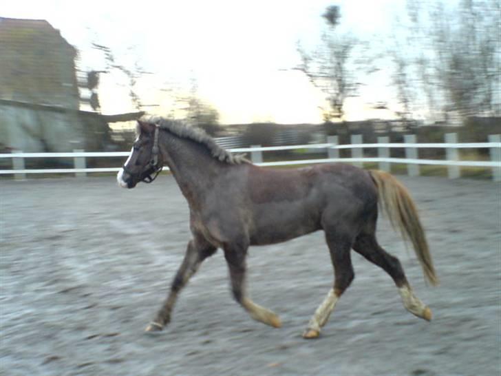 Anden særlig race Turn Around - . Turner løs på banen(: billede 6