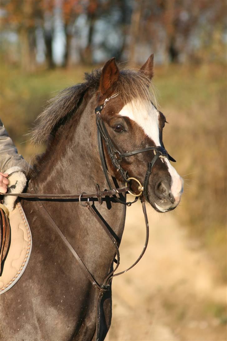 Anden særlig race Turn Around - tur:) billede 9