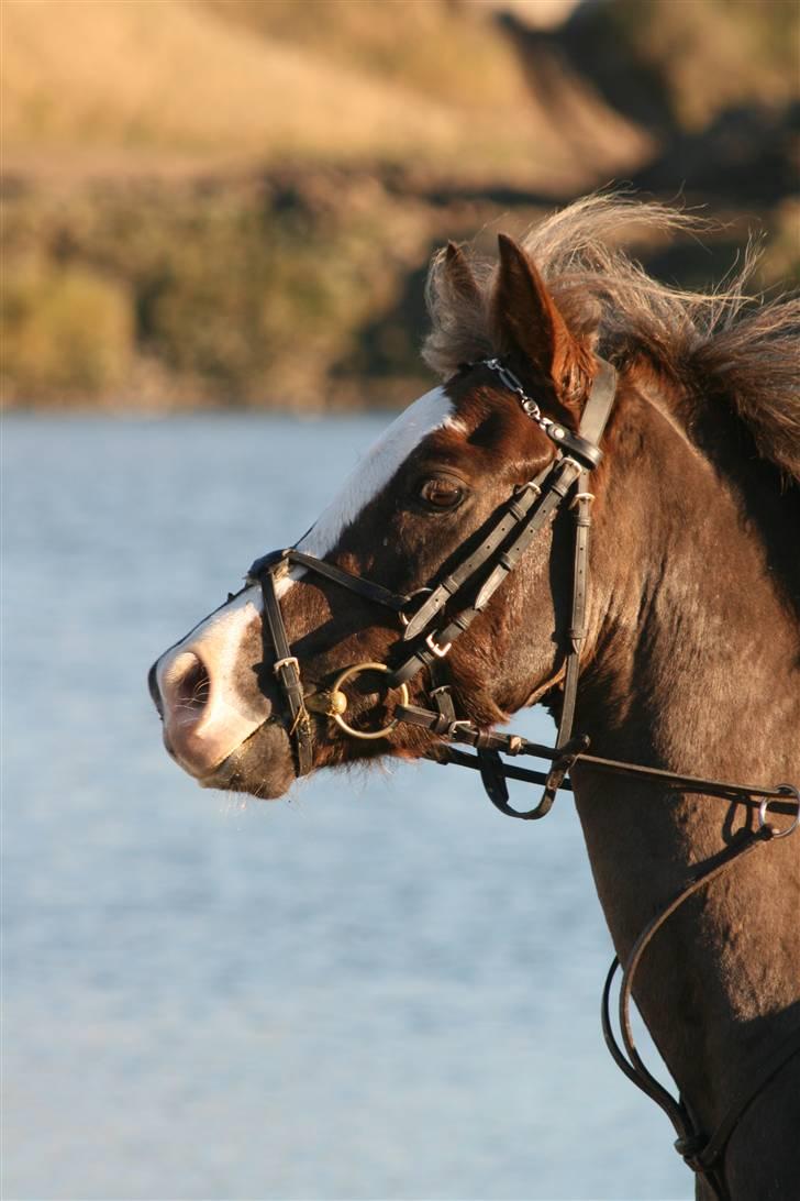 Anden særlig race Turn Around - tur:b billede 11