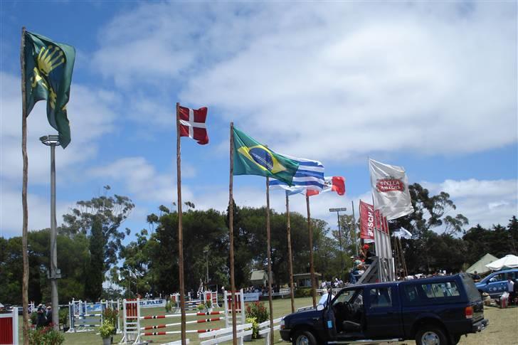 Criollo Mr. No Name - Danmark i Syd Amerika  Mr. No Name 2007 Blev nr. 1 billede 20