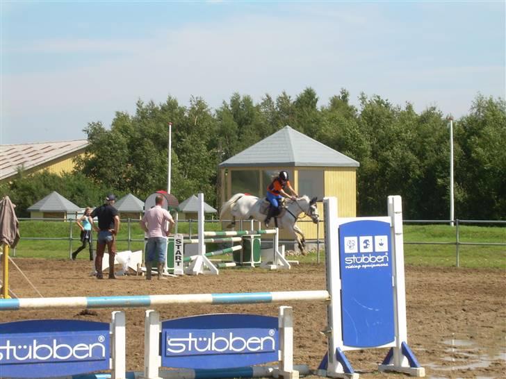 Anden særlig race David (tidl. pony) - var til spring kursus hos Daniel Cassøe Jakobsen hjemme på mbrk føste gang jeg fik undervisningen af ham   billede 7