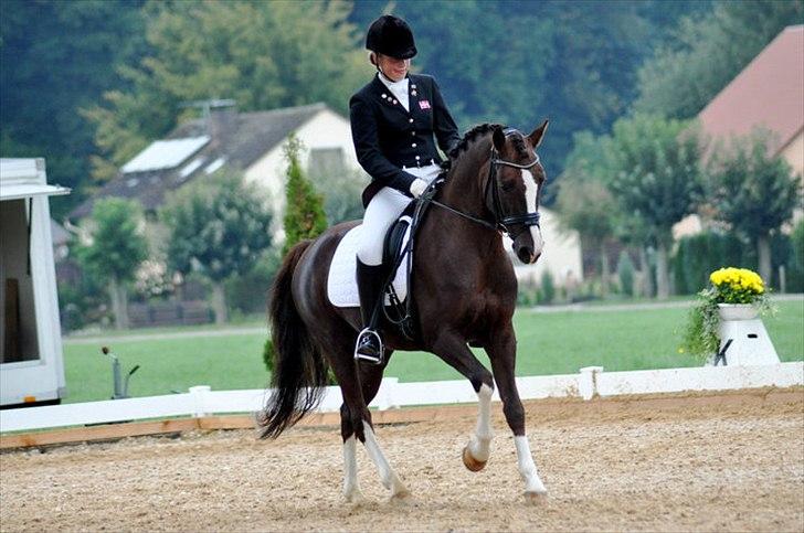 DSP Vasehøjs Kashi *A-Pony* - Tyskland 2010 billede 20