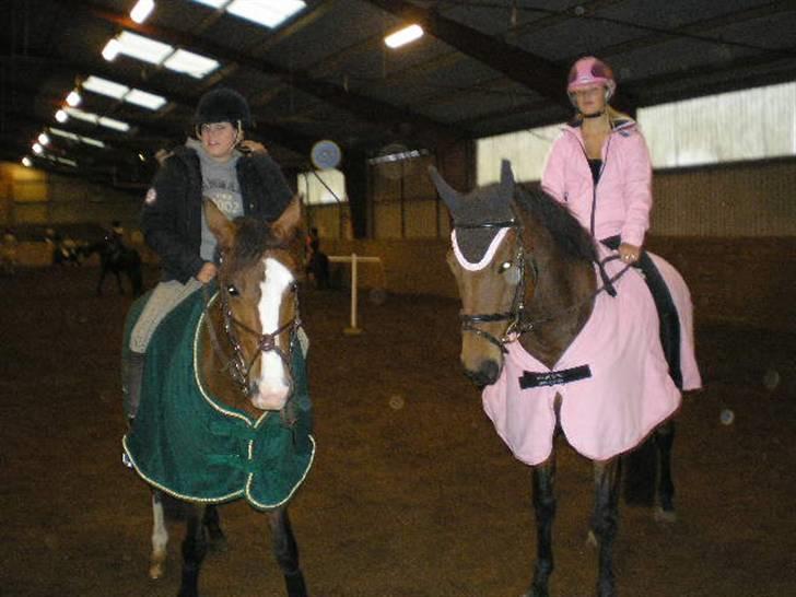 Anden særlig race Paloma Picasso [SOLGT] - Palle&safari til ponygames (: billede 5