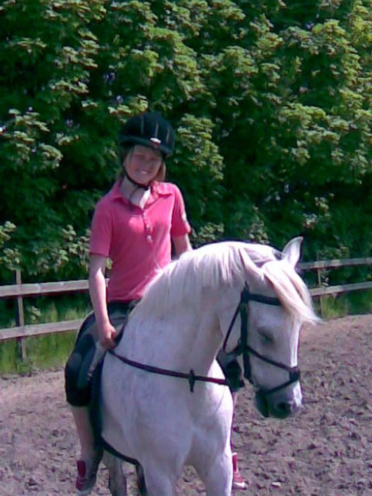 Welsh Mountain (sec A) Cherie - det er mig på min super dejlige pony, mig ansigt ser så ikke lige så godt ud på det billede!  billede 2