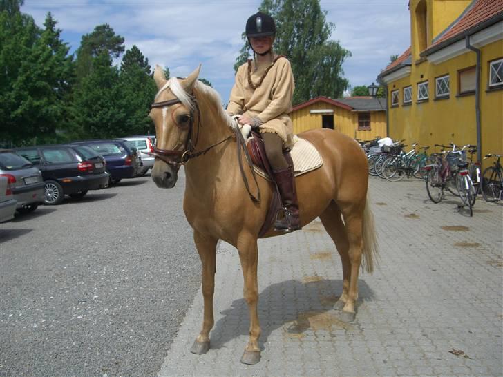 Anden særlig race                     Rain  - 19 * kvadrillie ridning, Indianere, sommer 2007 eller 2008 ? :D ELSKER DIG PONY billede 19