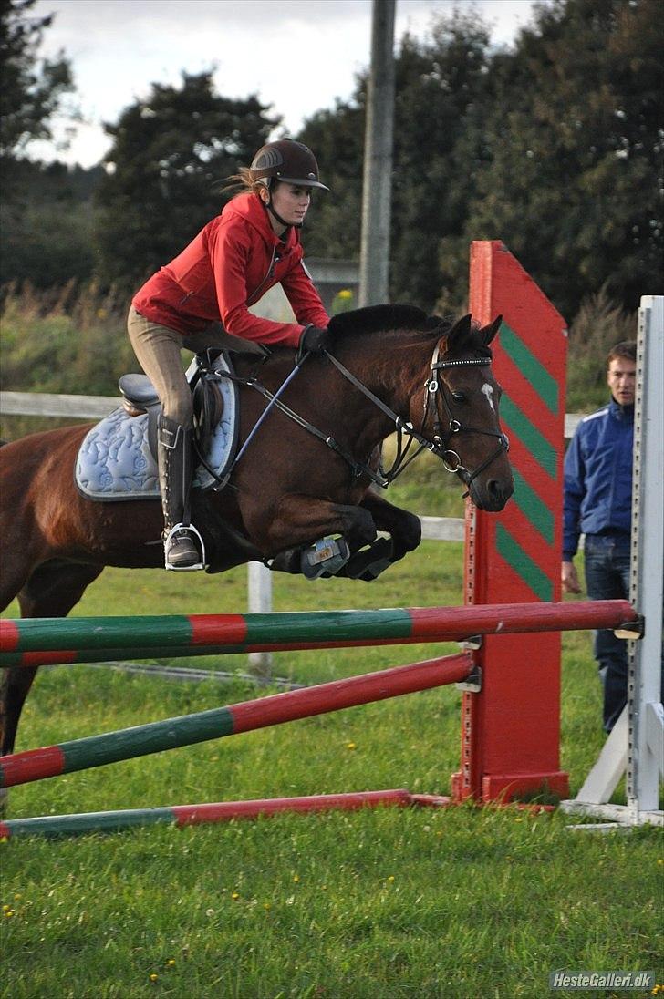 Anden særlig race Bianca - NDJ foto billede 16