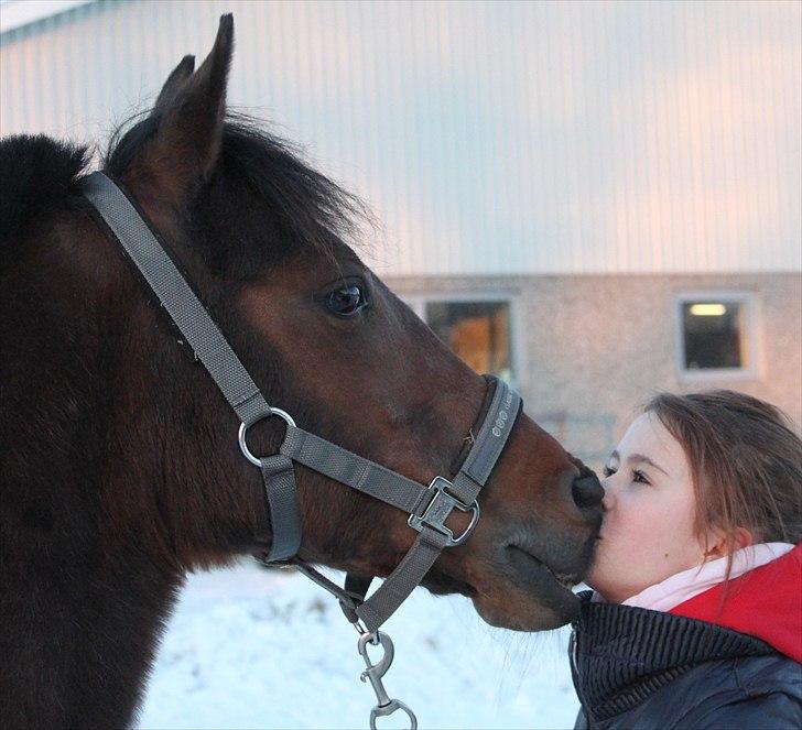 Anden særlig race Bianca - vinter/forår 2011 billede 19