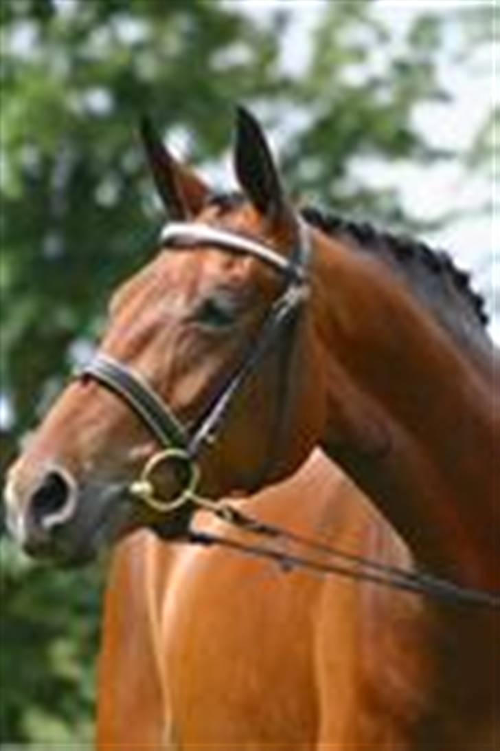 Oldenborg Jaqueline vaseskov - Jaqueline som 3 års billede 9