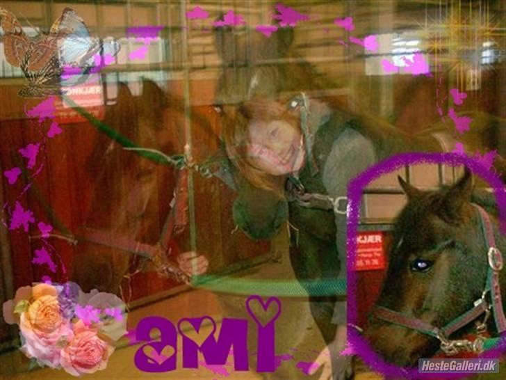 Anden særlig race Ami (SOLGT) :'( - 7# Ami miin/ voores <33 Elsker diq tak til Balou wee fordi du har lavety blledet..<33 billede 7