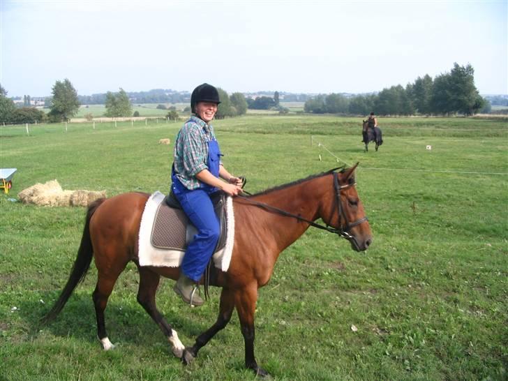 Fuldblod (XX) Why Me - R.I.P <3 - Opvisning Dina rider :-) billede 20