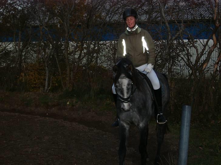 Sportsaraber (A) solgt :/   Shaki billede 15