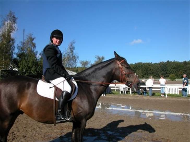 Anden særlig race Platinico billede 6