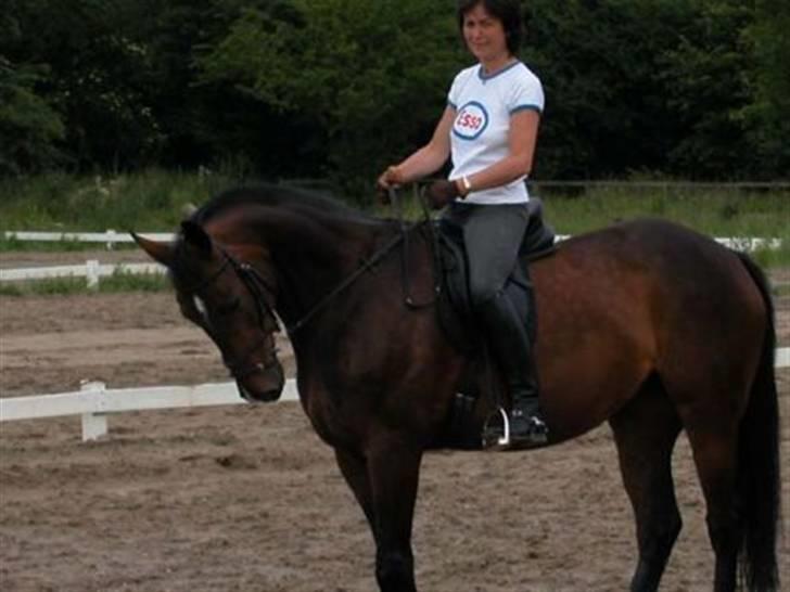 Anden særlig race Aicha billede 4