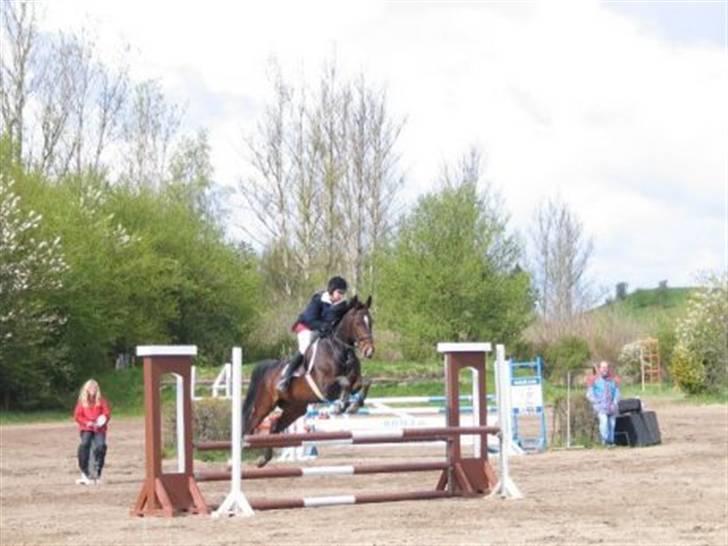 Anden særlig race Aicha billede 5