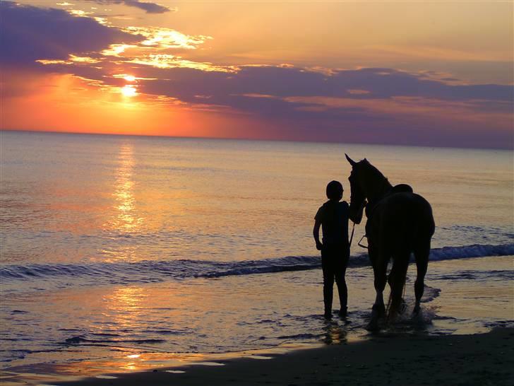 Gelderland Stefan - Fredag aften efter vi havde leget i vandet. Super flot solnedgang billede 11