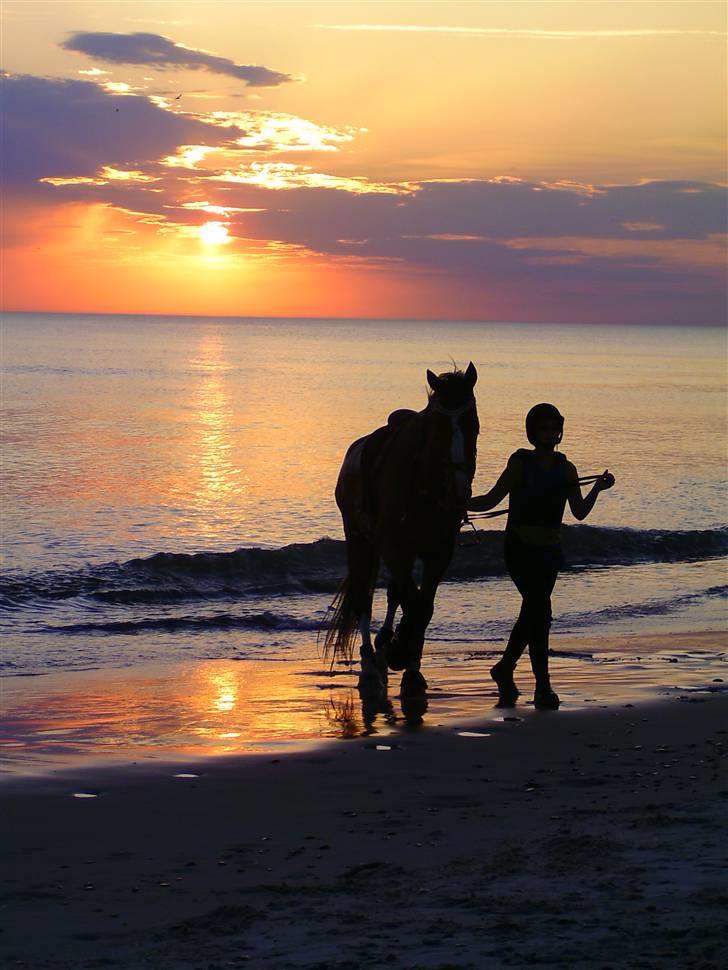 Gelderland Stefan - Vi rider næsten mod solnedgangen XD billede 13