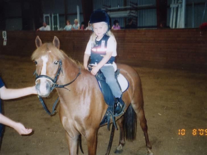 New Forest Avlantis - Første ridetime, da vi lige havde fået hende billede 5