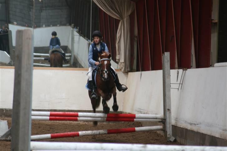 Hollandsk Sportspony Roxanne(Foxy Roxy)solgt - Flying fox =) billede 16