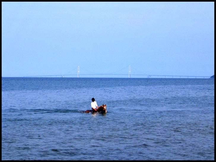 DSP Mr. Fando  - badeturen <3 du elskede det . imissyou billede 9