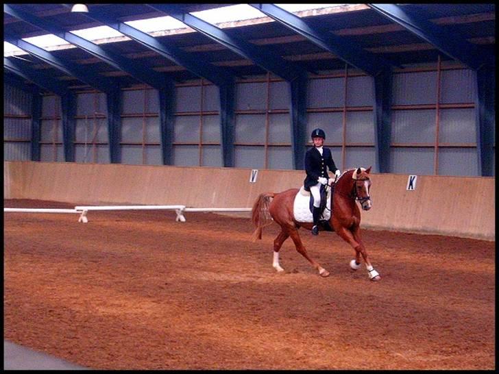 DSP Mr. Fando  - stævne september 2006 <3 vi vandt 8D  billede 11