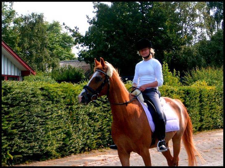 DSP Mr. Fando  - turen til stranden var den bedste <33333 billede 15