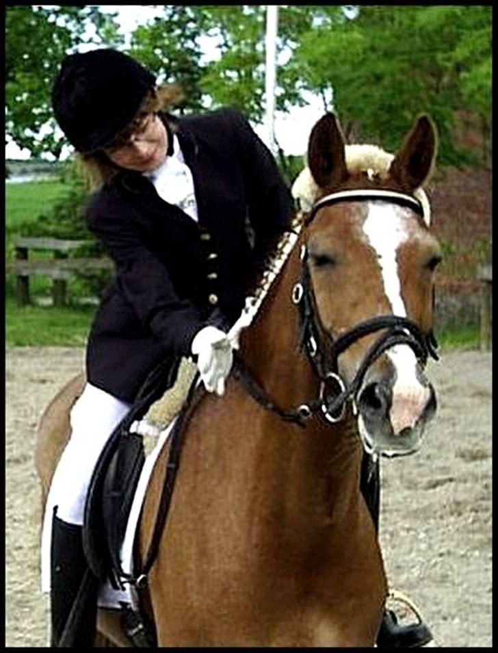 DSP Mr. Fando  - du var så stolt når vi vandt sammen baby? <3 her havde vi lige vundet la1 + la2 :D billede 20