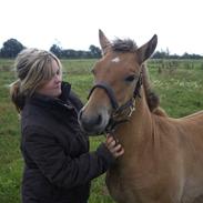 Anden særlig race Chandarm