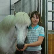 Islænder sindri fra gl.ladegård