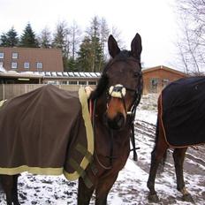 Anden særlig race smiley