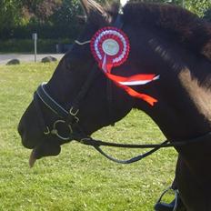 Anden særlig race Litus