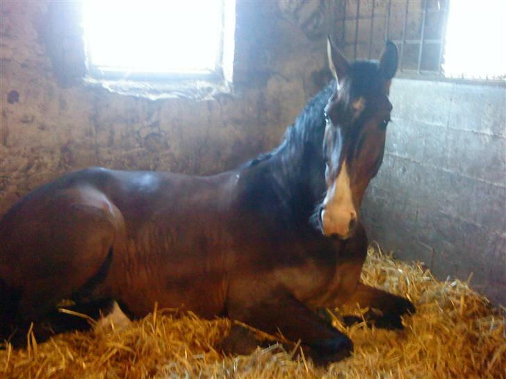 Oldenborg Kathu - Velkommen til bassens profil <3 billede 1