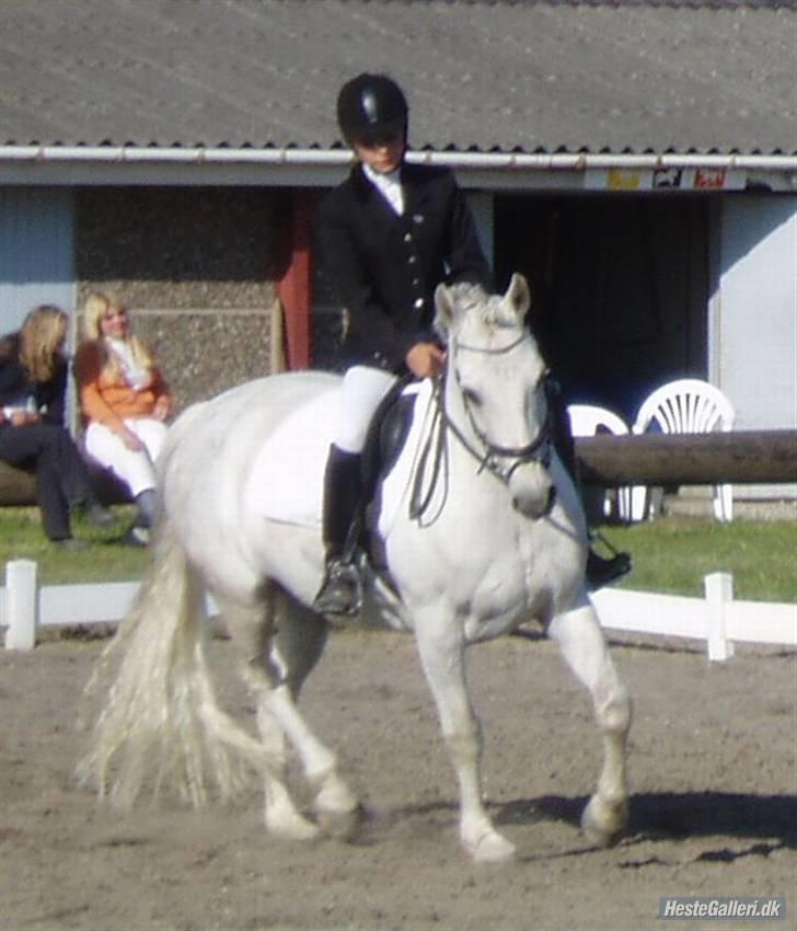 Anden særlig race Bou Bou  - 10 m. volte LB2  billede 19