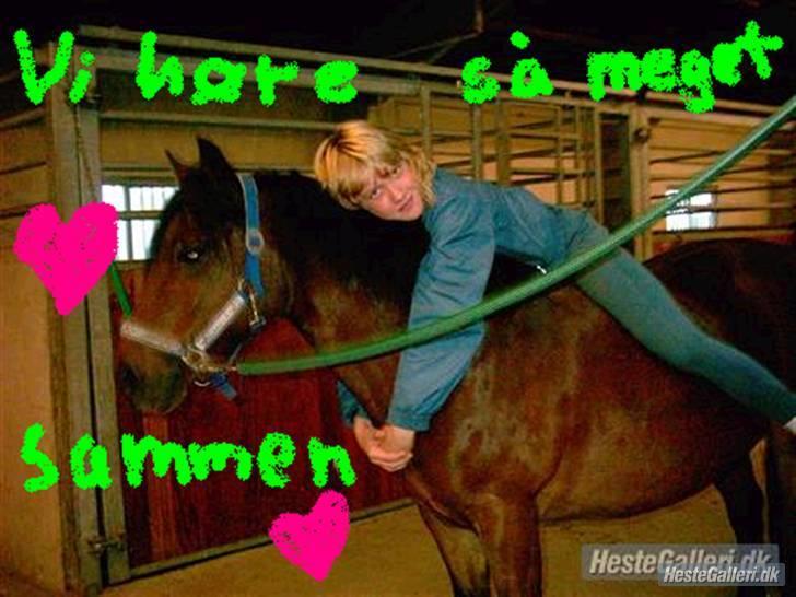 DSP Mattis - 11# Ih hvor smukt.. billede 11