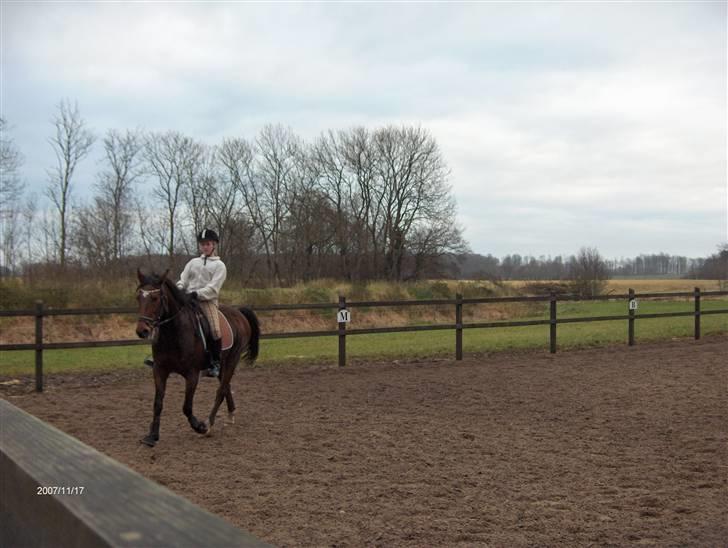 Traver El Santos [Himmelhest]  - 3.vi får undervisning billede 3