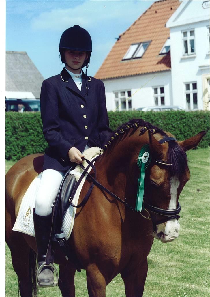 DSP My Dancer "ELITEHOPPE" *A-pony* billede 9