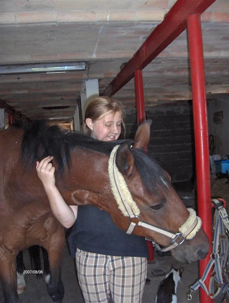 Traver El Santos [Himmelhest]  - 6.miiihq og miin smukke santooos<3<3 ILU billede 6