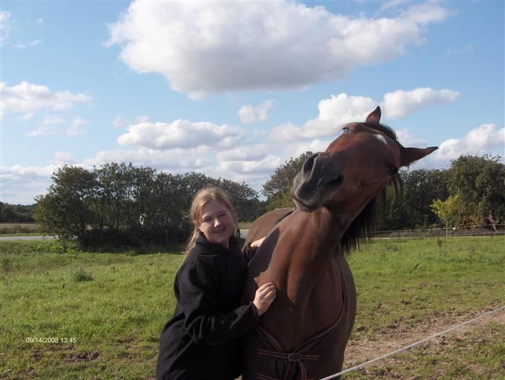 Traver El Santos [Himmelhest]  - 12. Jaah lige der ja det er godt der! Haha santos skat<3 billede 12