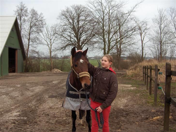 Traver El Santos [Himmelhest]  - 14.Elsker at blive kløet bag øret:D billede 14