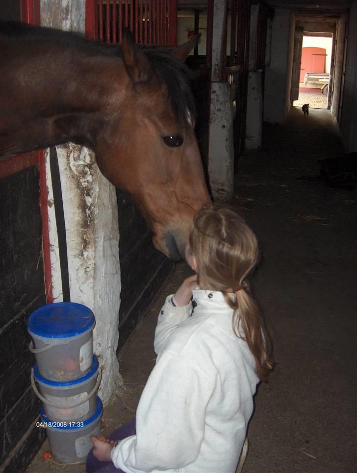 Traver El Santos [Himmelhest]  - 18. Jeg elsker diig du er alt!<3 billede 18