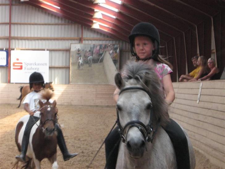 Anden særlig race Sigurd solgt. - mig og sigurd på ridelejer lang tid siden:D billede 1