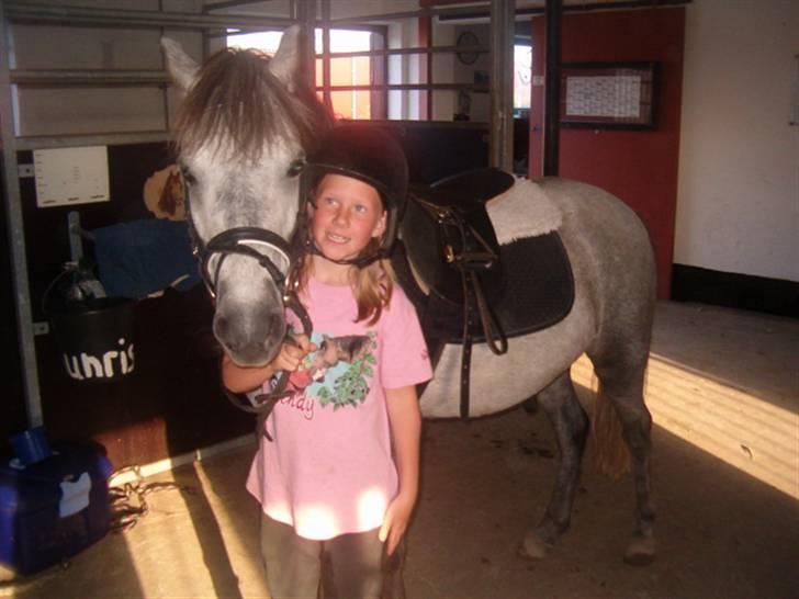 Anden særlig race Sigurd solgt. - mig & sigurd<3 billede 2