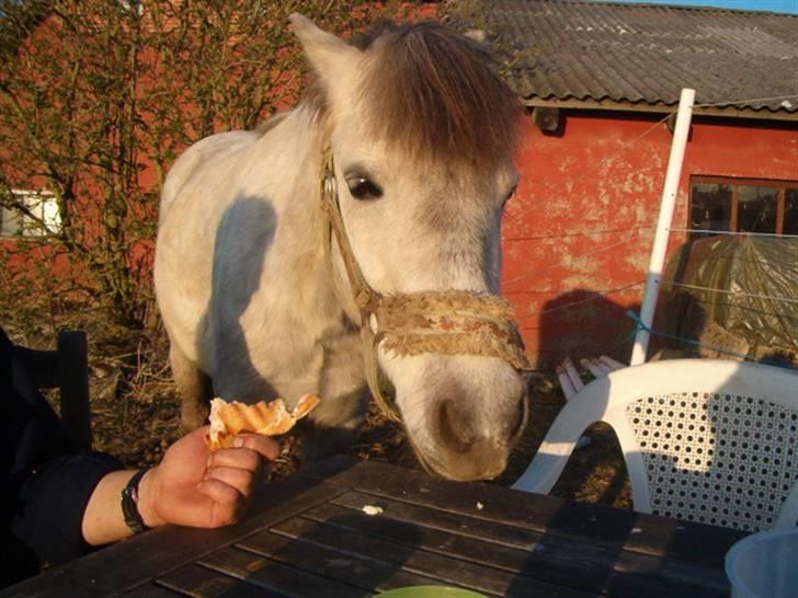 Anden særlig race Sigurd solgt. - det smager godt!! hehe billede 3