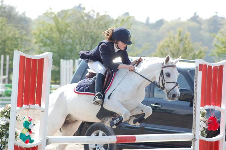 Anden særlig race Pascal - Skallemand og gammel ejer Zelina Hulehøj i MB til landsstævne i kongelunden. :) billede 4