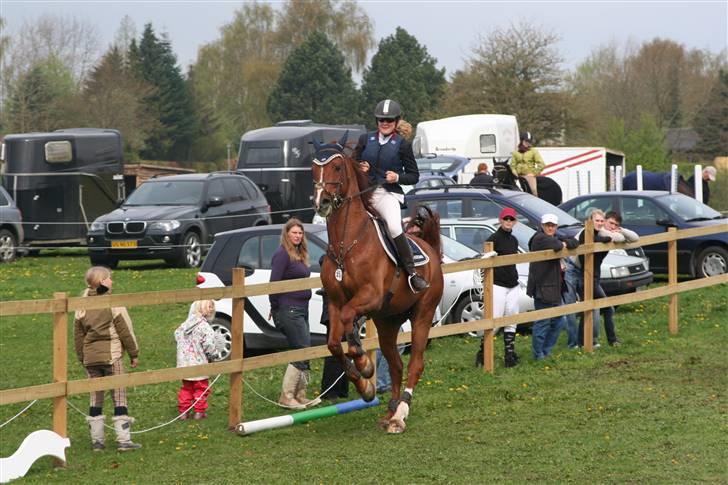 Holstener Le Poul -  Pouls til stævne i Kellerup, inden Søren Phillipsen kom med hans nye bid:-P Foto: Louise S billede 14